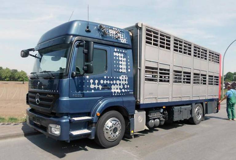 Транспортировка крупного рогатого скот лошадей недорого из Челябинск в Курган
